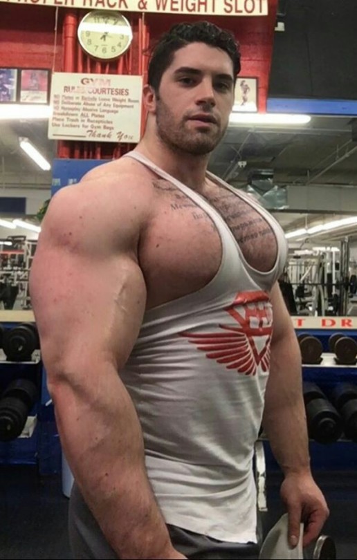 MALE BODYBUILDERS WITH MEGA PECS: ADAM GERBER.