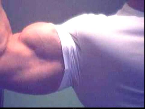 Bodybuilder Webcam I
