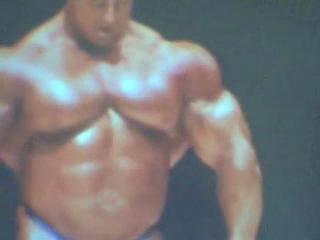 King of Pecs