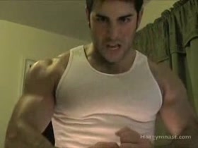 Aggressive and powerful stud