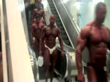 Muscle Production Line