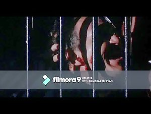 Prison fights